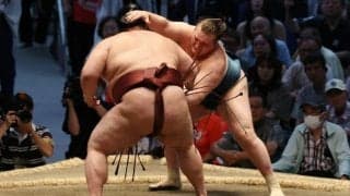 関脇安青錦が3度目優勝 　特例で大関復帰、賜杯も奪取