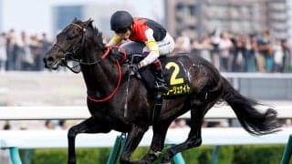 【札幌日経賞結果】ミラージュナイトが人気に応えてオープン初勝利