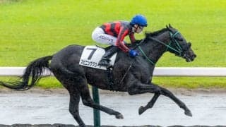 【新潟3R】コレット騎手が2Rに続く連勝…スピニンググローブが5馬身差圧勝