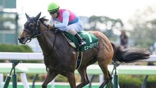 クイーンSとアイビスSDの2重賞/今週の競馬界の見どころ