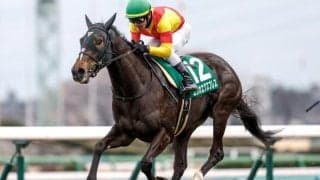 【クイーンS見どころ】実績は他馬を上回るエリカエクスプレス