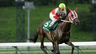 【盛岡・若鮎賞】マカヒキ産駒セイカールトンが4馬身差V…山本聡哉「2歳世代の芝を引っ張っていけそう」