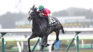 【クイーンS登録馬】巴賞快勝のヴーレヴーなど16頭