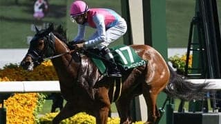 【アイビスSD想定騎手】ピューロマジックは松山弘平騎手、アメリカンステージは戸崎圭太騎手