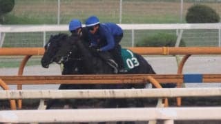 ミックスセールで2億円 キズナ産駒ホウオウモノポリーが土曜新潟で初陣/関西馬メイクデビュー情報