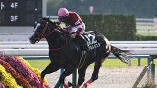 【AI予想・アイビスSD】今年は大波乱の可能性あり!? 人気薄の大駆けに警戒する人工知能の本命候補