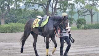 日本ダービー3着馬の半妹 ピュアレストにジョッキーも好感触/関東馬メイクデビュー情報