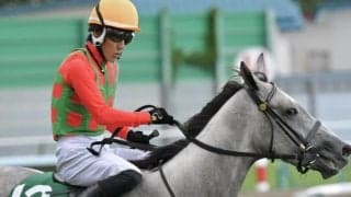 【クイーンS】史上初の隔年制覇なるか 9F巧者のコガネノソラが差し切り狙う
