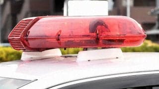 UFCの元スターが逮捕＆収監　脅迫、家庭内暴力など３件の重罪で起訴　19年UFC王座挑戦も