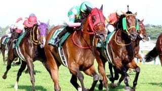 またまたＧ１馬が新潟記念にエントリー！相次ぐ有力馬の参戦に「札幌記念より豪華？」「数年後にはＧ２に」