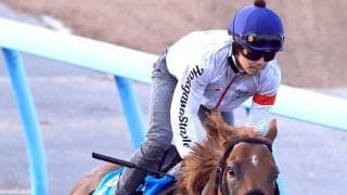 【アイビスＳＤ】９歳馬ウイングレイテストがラスト１０秒５の超抜時計　松岡正海騎手「最後にビシッと」