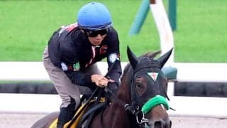 【クイーンＳ】函館発札幌行エリカエクスプレス　武豊“運転士”でＧＯ