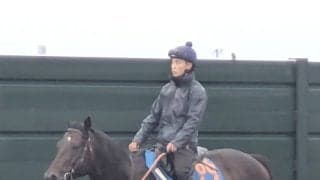 【エルムＳ・１週前】マリーンＳ圧勝のウェイワードアクトは力強い動き　舟山瑠泉騎手「相変わらず、動きはよかった」