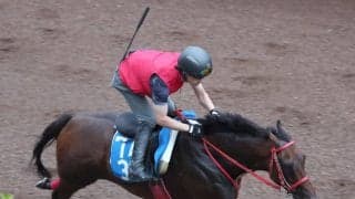 【アイビスＳＤ】「もう少しガツンとくるところが…」７歳馬デュガが坂路でラスト１１秒９も陣営は慎重