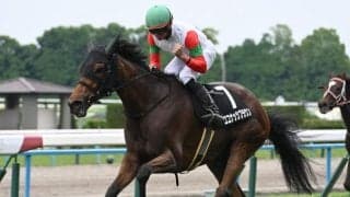 【クイーンS出走馬・騎手確定】ココナッツブラウン＆北村友一騎手、エリカエクスプレス＆武豊騎手など14頭