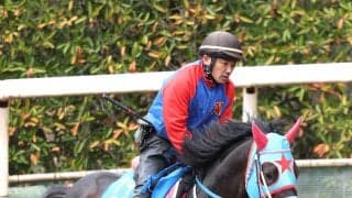 ２５年佐賀記念の覇者メイショウフンジンが競走馬登録抹消　今後は小倉競馬場で乗馬になる予定