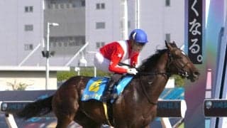 【川崎競馬新馬戦】ジョリージャイヴが９馬身差圧勝　野畑凌騎手「なかなかできるものではない」