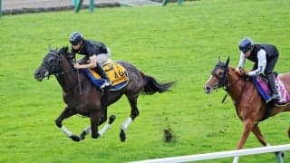 【クイーンＳ】函館記念２着の雪辱へ　ケリフレッドアスクは堂々の最終デモ　横山武史騎手「具合の良さを感じた」