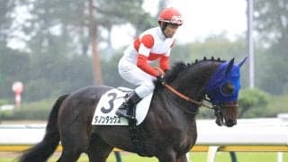 【注目馬動向】３・１億円馬ダノンダックスは放牧から１０月前半の東京未勝利戦へ　田中博康調教師「やっぱり素晴らしい馬」