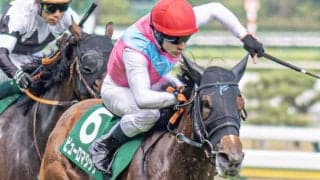【アイビスSD】史上3頭目の連覇へ ピューロマジックが快足飛ばす