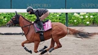 【クイーンＳ】桜花賞１７着から逆襲へ　フェスティバルヒルは軽快なフットワーク　結果次第で秋華賞も視野に