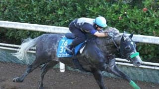 【アイビスＳＤ・データ埋蔵金】狙い目は重賞ウィナーで高松宮記念の出走馬　千直未経験の実力馬が浮上