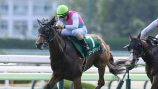 【アイビスSD枠順確定】ピューロマジックは3枠6番、アメリカンステージは8枠16番