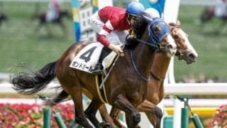 【クイーンS枠順確定】ボンドガールは7枠12番、エリカエクスプレスは6枠9番