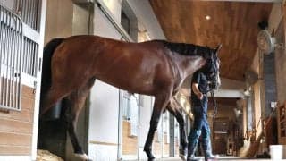 【ＰＯＧ談義】好時計連発の大物候補が中京で満を持してデビュー！　「今週の狙いは？」現場記者が推し馬をジャッジ