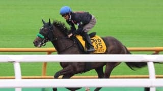 【クイーンＳ・金曜気配】武豊騎手騎乗のエリカエクスプレスは９番枠　陣営「追い切り後も落ち着いています」