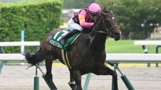 【CBC賞想定馬・騎手】インビンシブルパパ、レイピアなど19頭