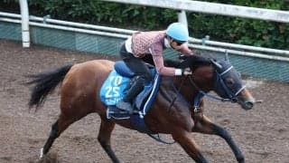 【注目馬動向】サンデーファンデーがコリアカップの招待を受諾　初の海外遠征へ