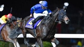 【レパードS想定馬・騎手】パイロマンサー、メルカントゥールなど12頭