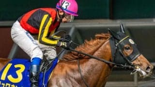 「ウマ娘」藤田晋オーナーの高額馬 スワッグウォークが武豊騎手で初陣Vなるか