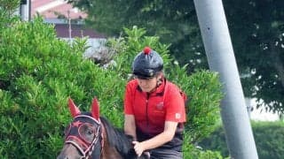 【名鉄杯・金曜気配】ポッドロゴが得意の中京で巻き返しへ　西園調教師「１回使って少しピリッとしてきた」