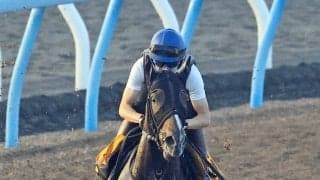 【アイビスＳＤ・金曜気配】舞台一変のミカッテヨンデイイは角馬場で調整　室井師は初の重賞挑戦「思い切って距離を...」