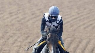 【アイビスＳＤ・金曜気配】“千直巧者”のシュラフは坂路で最終仕上げ　「うまくいきました」猛暑での調整に佐藤吉勝調教師
