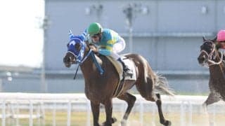 地方競馬最速記録！望月洵輝騎手が通算500勝、初騎乗844日で到達