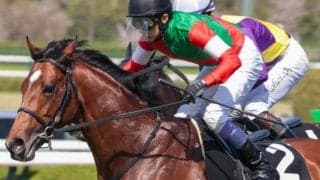 【STV賞】キタサンブラックの半弟 アルマデオロが武豊騎手と連勝狙う