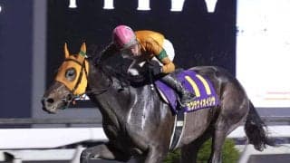 【高知競馬・黒潮菊花賞】カツテナイ３冠馬誕生に期待！　大恵陽子コラム