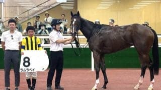 【中京２Ｒ・２歳新馬】重賞３勝モズメイメイの全妹ラムラベイが快勝発進！　松若風馬騎手「調教通りでしたね」