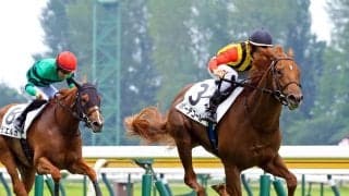 【新潟３Ｒ・２歳新馬】「１００点満点です」津村明秀騎手のボーデコールが１番人気に応えて３馬身差の完勝