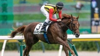 【新潟3R新馬戦結果】イスラボニータ産駒ボーデコールが突き抜け快勝
