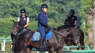 土曜新潟競馬の注目激走馬…新潟７Ｒ柳都ステークス