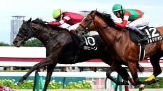 【札幌１１Ｒ・ＳＴＶ賞】藤田晋オーナーが見守るなかヨヒーンが差し切る　全４勝へ導いた鮫島克駿騎手「強い気持ちでファイト」