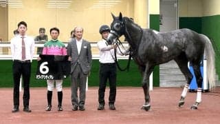 【中京７Ｒ・豊橋Ｓ】３連単は１６万円超！　７番人気ハワイアンティアレが逃げ切り　吉村誠之助騎手「しまいもきっちり」