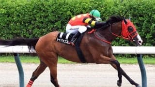 【新潟７Ｒ・柳都Ｓ】前走のリプレー！？　２番人気のレイバックスピンが連勝　牧浦調教師「将来的には交流重賞路線に…」
