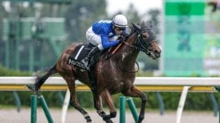 【JRA・WIN5】本日のWIN5は的中145票、配当206万5210円
