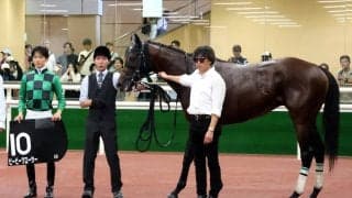 【中京８Ｒ・日進特別】「力が違いました」坂井瑠星騎手が絶賛　単勝１・２倍のビービークローサーが衝撃の直線一気