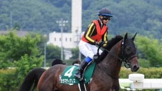 【注目馬動向】七夕賞７着カラマティアノスは９月１２日のチャレンジＣへ　サンデーサラブレッドクラブが発表